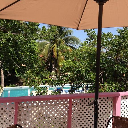 Hummingbirds Cabins Cayo Caulker Habitación foto